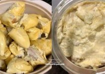 Cara Buat Tempoyak Durian, Tip Simpan Lama Tahan 6 Bulan Cara Buat Tempoyak Durian, Tip Simpan Lama Tahan 6 Bulan