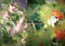 Resepi Sup Ayam Mak Jemah Sedap