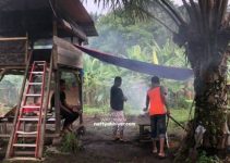 Makan-makan Di Kebun Dalam Suasana Renyai Hujan Makan-makan Di Kebun Dalam Suasana Renyai Hujan