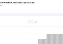 Cara Betulkan Canonical URL Di WordPress Cara Betulkan Canonical URL Di WordPress