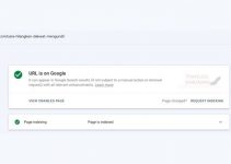 Solusi Agar WordPress Terindeks Google Dalam 1 Hari Solusi Agar WordPress Terindeks Google Dalam 1 Hari