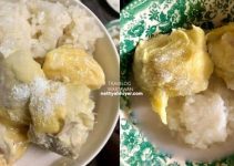 Makan Pulut Durian Kuah Santan Cara Mentua Perak Makan Pulut Durian Kuah Santan Cara Mentua Perak