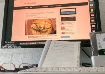 Best Masuk Kelas SEO 2023 Jadi Blogger Tip Top Best Masuk Kelas SEO 2023 Jadi Blogger Tip Top