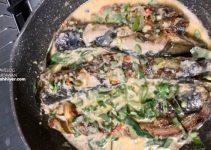 Resepi Ikan Keli Masak Lemak Kencur Jawa No.1 Tersedap Resepi Ikan Keli Masak Lemak Kencur Jawa No.1 Tersedap