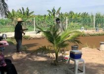 Cuti Sekolah 2023 Bawa Anak Memancing Di Laman Desa Agro, Tanjung Karang Cuti Sekolah 2023 Bawa Anak Memancing Di Laman Desa Agro, Tanjung Karang
