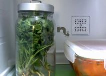 Tips Simpan Daun Ketumbar Dalam Peti Sejuk, Amazing Tahan 30 Hari Tips Simpan Daun Ketumbar Dalam Peti Sejuk, Amazing Tahan 30 Hari