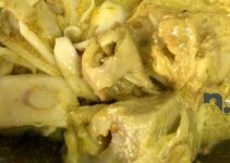 Resepi Nangka Masak Lemak Jawa Dengan Ayam, Letak Ketumbar Resepi Nangka Masak Lemak Jawa Dengan Ayam, Letak Ketumbar