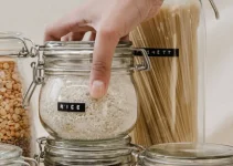 4 Cara Hilangkan Kutu Beras Di Rumah Proven Menjadi 4 Cara Hilangkan Kutu Beras Di Rumah Proven Menjadi